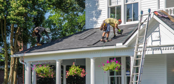 Trusted Clearwater, SC Roofing Service Experts